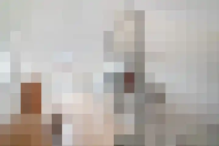 Hoedenmaker 9 Zevenhuizen thumbnail 22