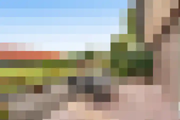 Hoedenmaker 9 Zevenhuizen thumbnail 29