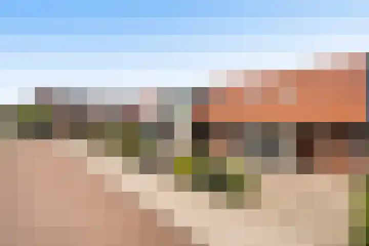 Hoedenmaker 9 Zevenhuizen thumbnail 32