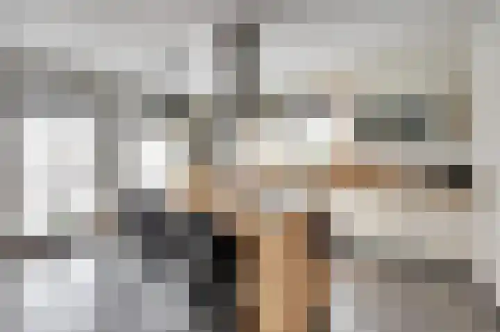 Hoedenmakersgilde 2 Dronten thumbnail 16