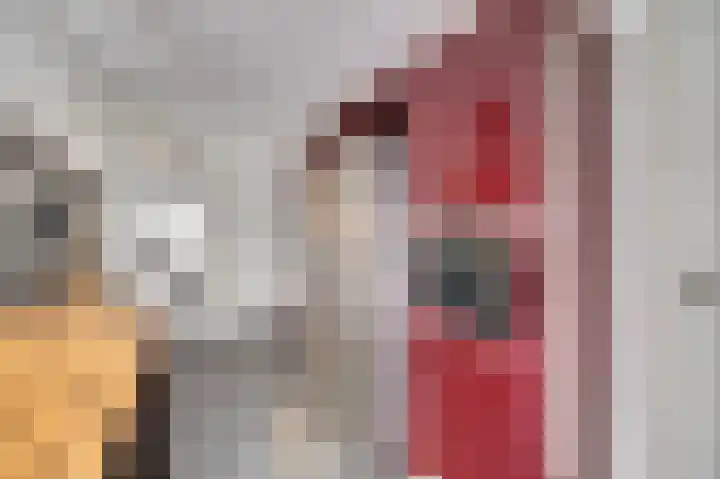 Hoedenmakersgilde 2 Dronten thumbnail 19