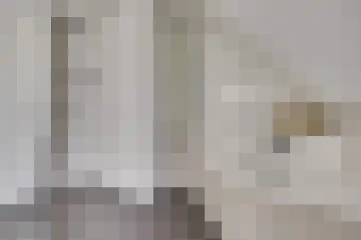 Hoedenmakersgilde 2 Dronten thumbnail 29