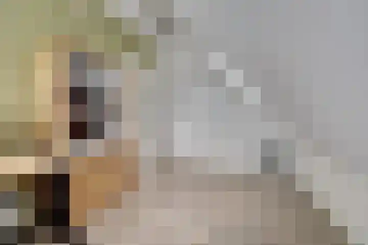 Hoedenmakersgilde 2 Dronten thumbnail 34