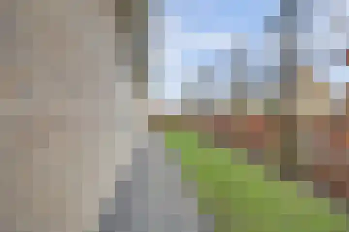 Hoedenmakersgilde 2 Dronten thumbnail 46