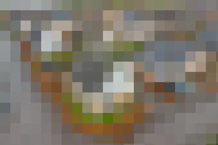 Hoedenmakersgilde 2 Dronten thumbnail 53