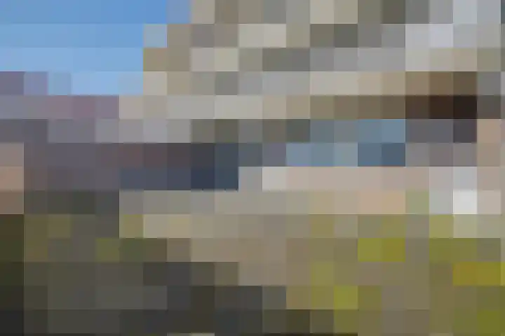 Hoedenmakersgilde 2 Dronten thumbnail 6