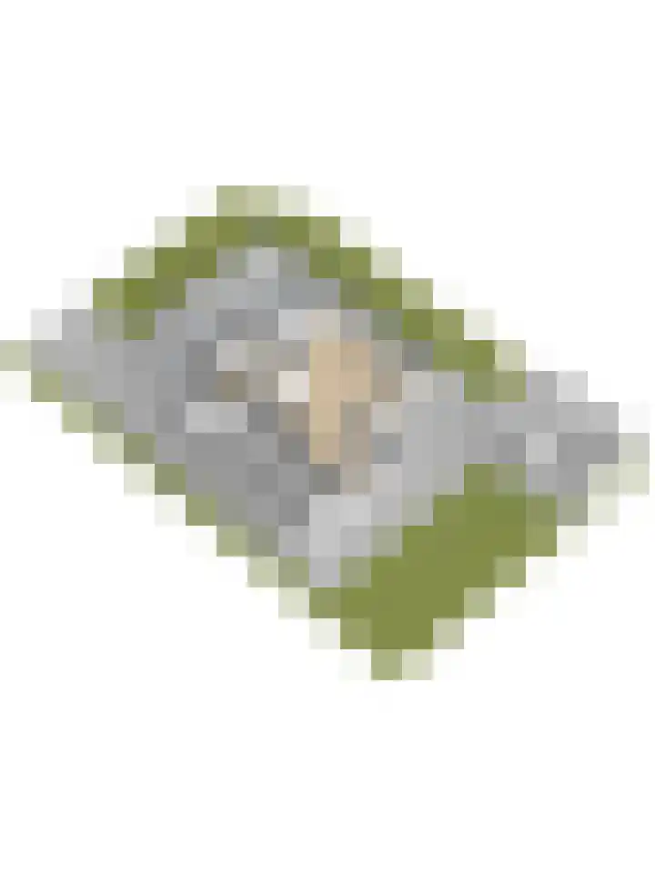 Hoedenmakersgilde 2 Dronten thumbnail 60