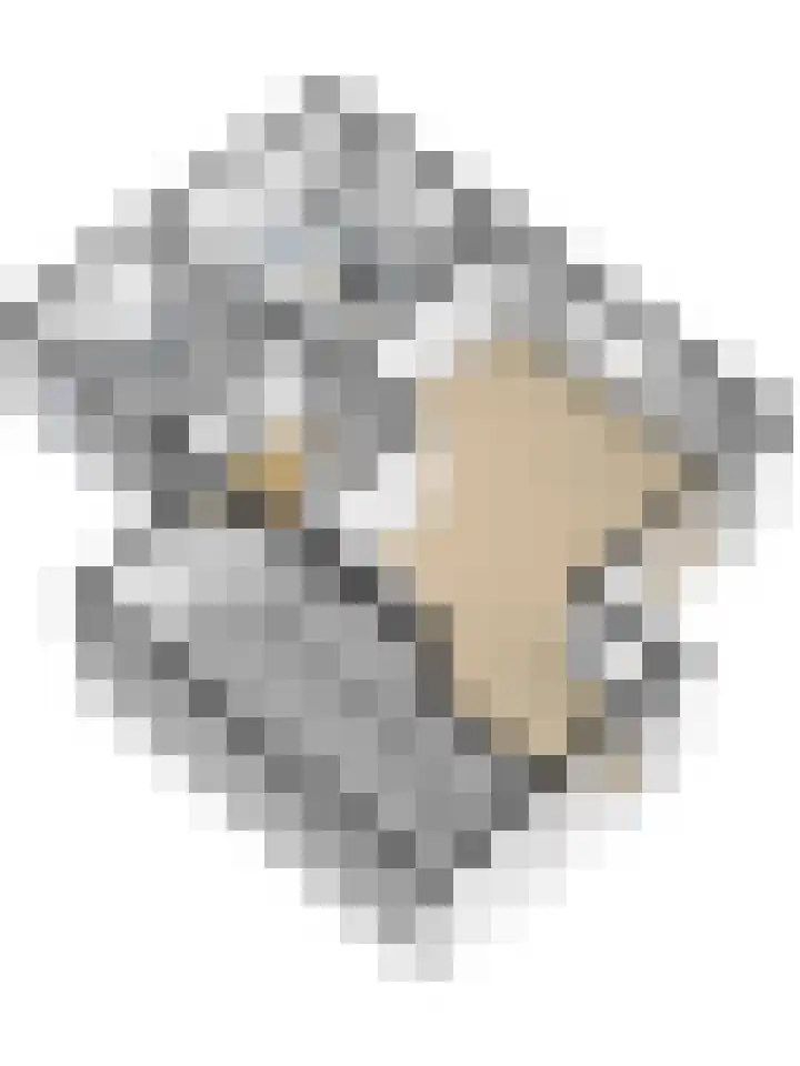 Hoedenmakersgilde 2 Dronten thumbnail 61