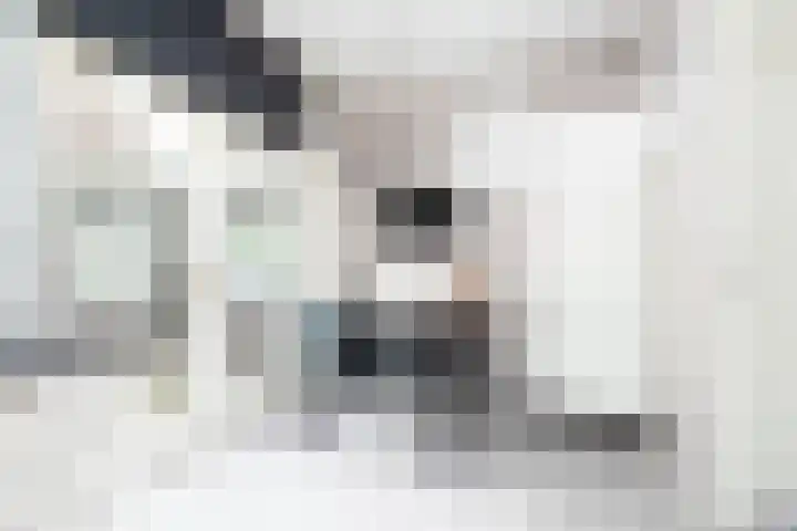 Hoedenmakersveste 19 Arnhem thumbnail 17