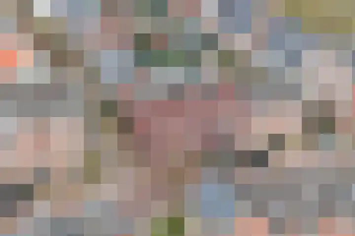 Hoedenmakersveste 19 Arnhem thumbnail 30