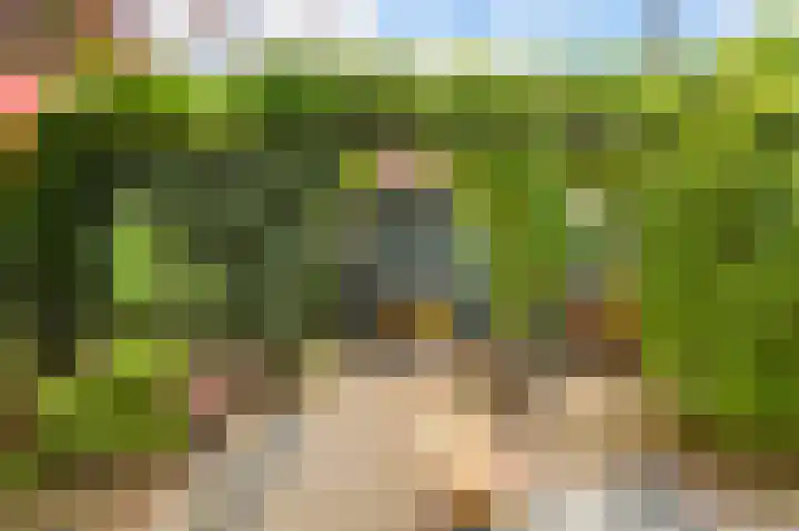 Hoedenmakersveste 22 Arnhem thumbnail 17