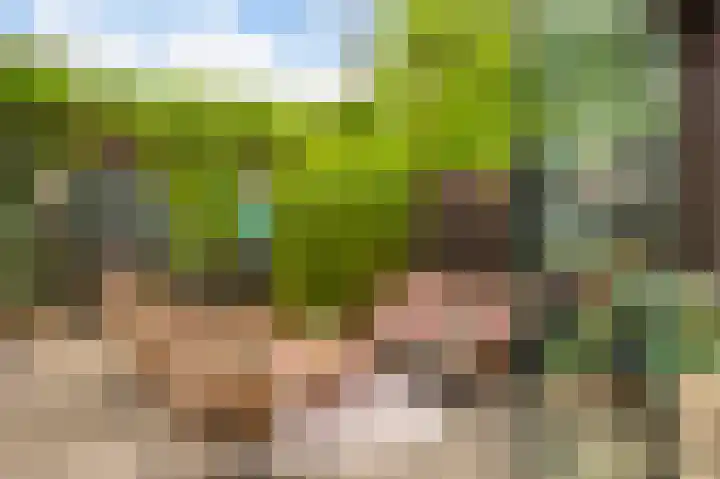 Hoedenmakersveste 22 Arnhem thumbnail 18