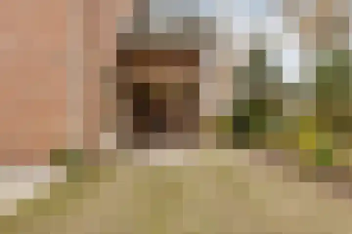 Hoefberg 1 Rosmalen thumbnail 40