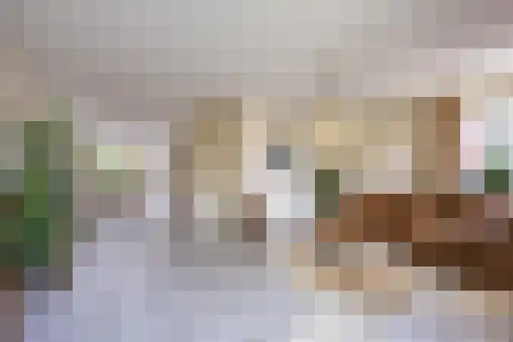 Hoefblad 105 Best thumbnail 11