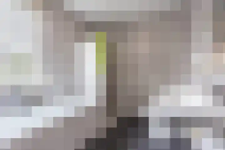 Hoefblad 105 Best thumbnail 26