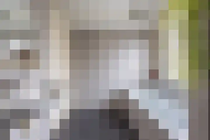 Hoefblad 105 Best thumbnail 27