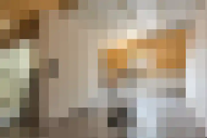 Hoefblad 105 Best thumbnail 32
