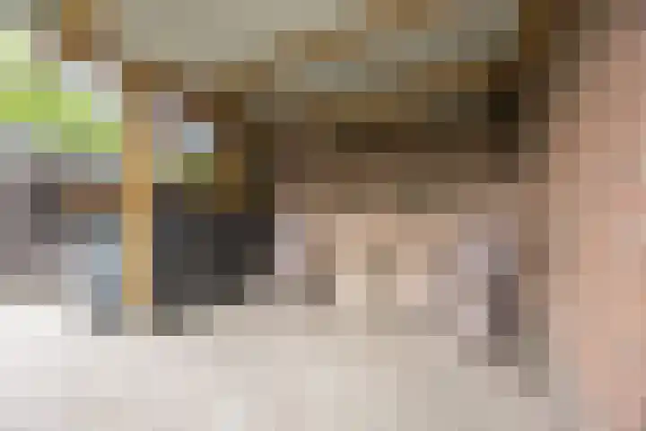 Hoefblad 105 Best thumbnail 34