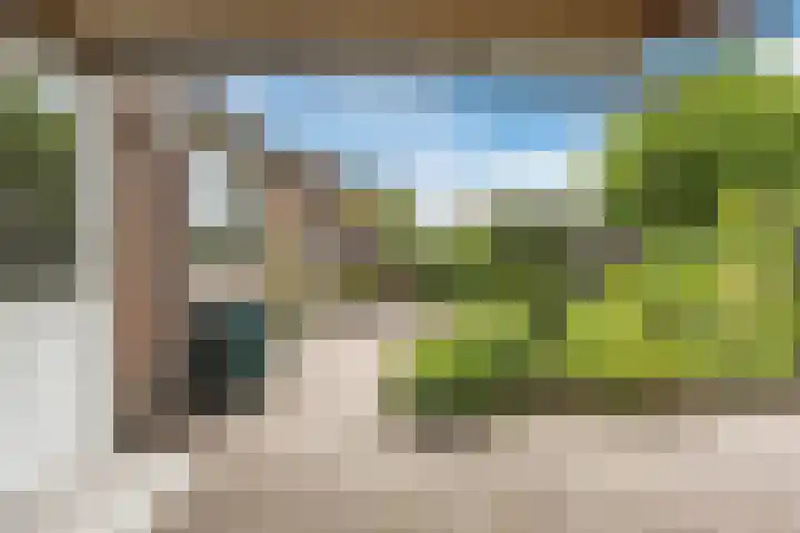 Hoefblad 105 Best thumbnail 35