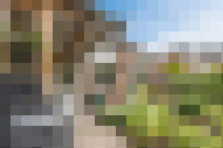 Hoefblad 105 Best thumbnail 36