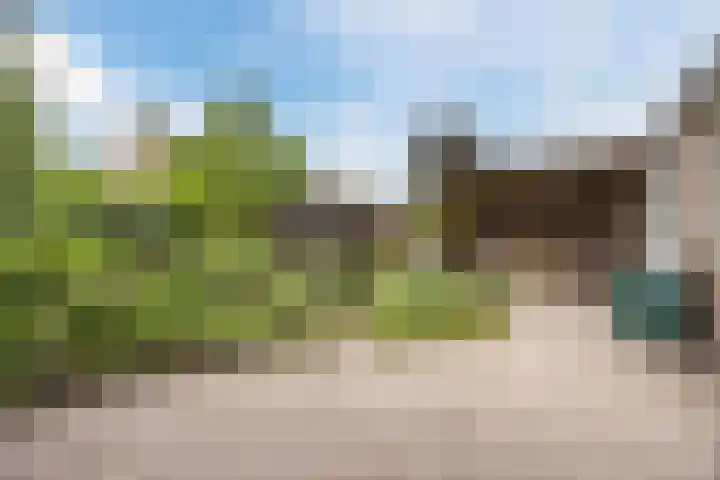 Hoefblad 105 Best thumbnail 38