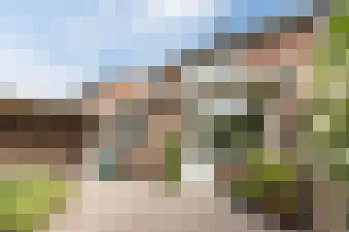 Hoefblad 105 Best thumbnail 39