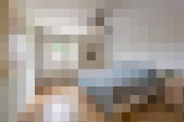 Hoefblad 105 Best thumbnail 4