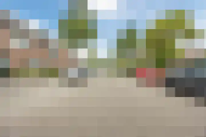 Hoefblad 105 Best thumbnail 40
