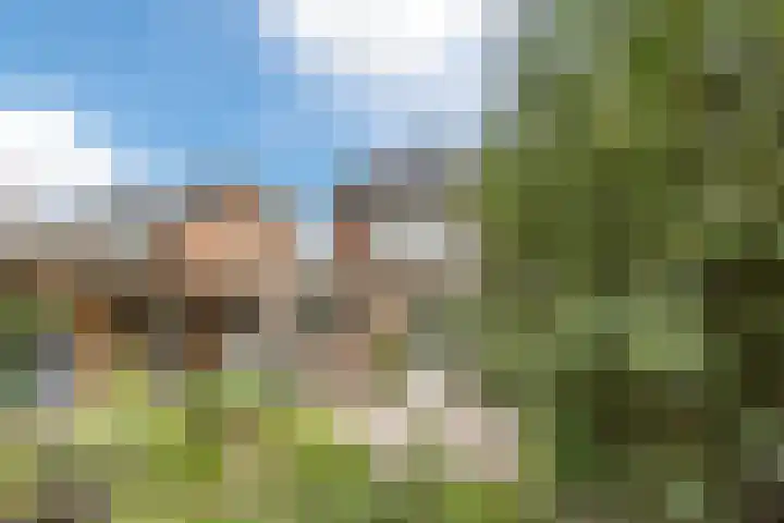 Hoefblad 105 Best thumbnail 5
