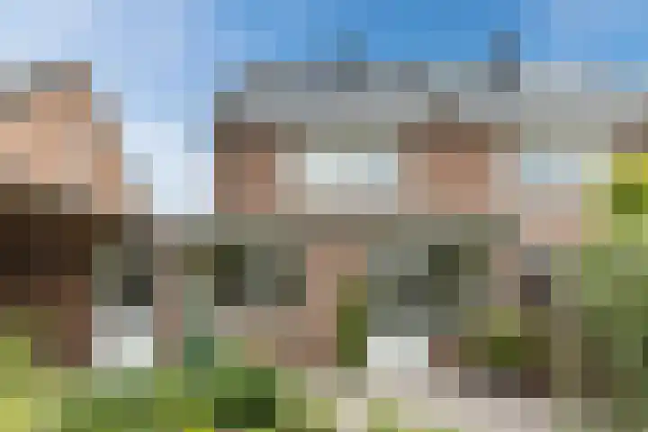 Hoefblad 105 Best thumbnail 6