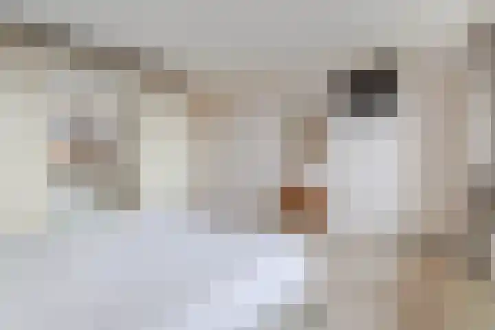 Hoefblad 13 Boskoop thumbnail 15
