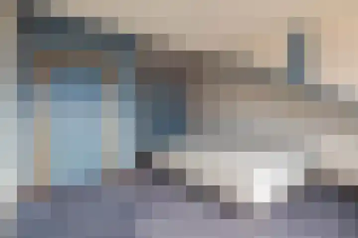 Hoefblad 13 Boskoop thumbnail 25