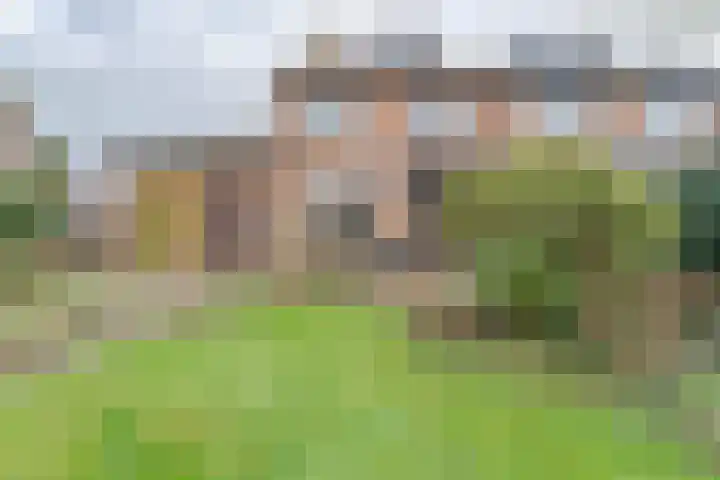 Hoefblad 13 Boskoop thumbnail 27