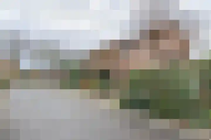 Hoefblad 13 Boskoop thumbnail 30
