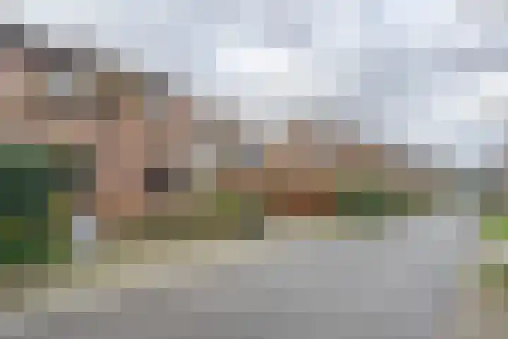 Hoefblad 13 Boskoop thumbnail 31