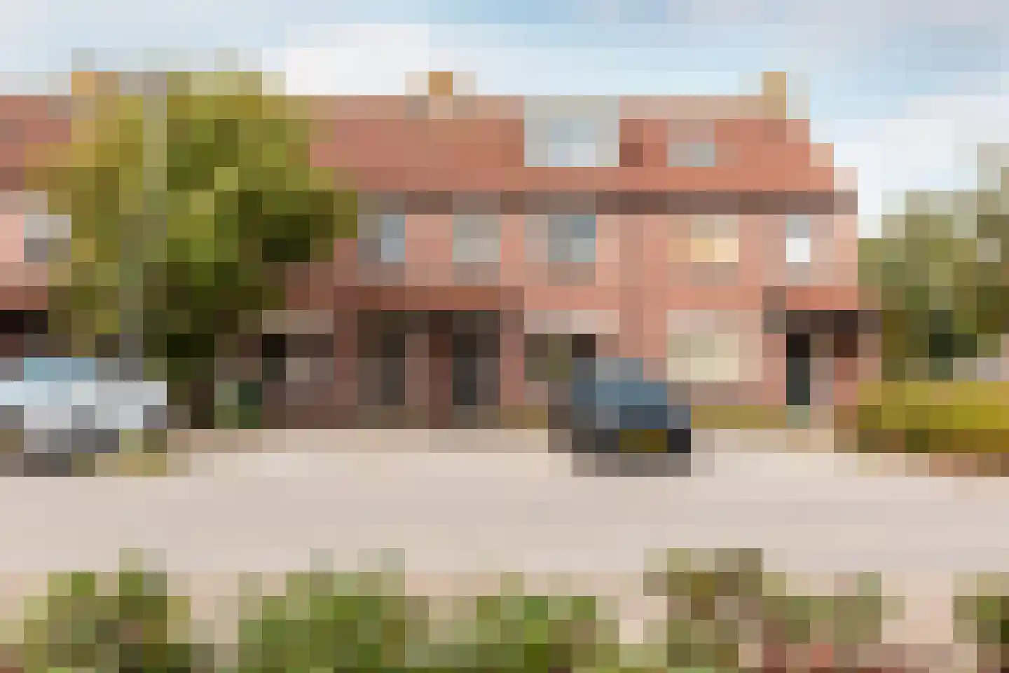 Hoefblad 164 Zwaag