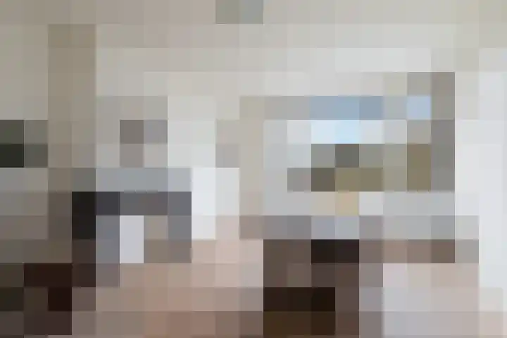 Hoefblad 3 Culemborg thumbnail 12