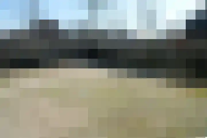 Hoefblad 3 Culemborg thumbnail 13