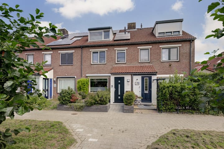 Hoefblad 99 in Zwaag foto