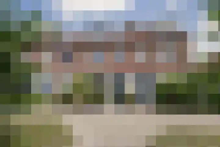 Hoefblad 99 Zwaag