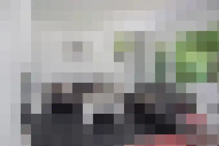 Hoeferlaan 19 Sittard thumbnail 15