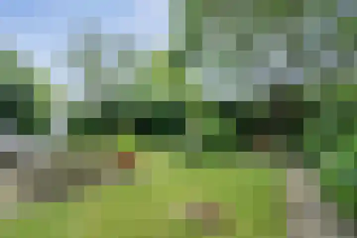 Hoeferlaan 19 Sittard thumbnail 29
