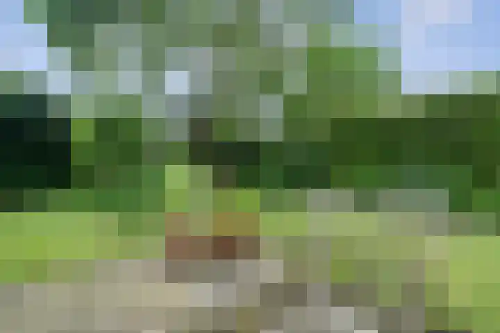 Hoeferlaan 19 Sittard thumbnail 4