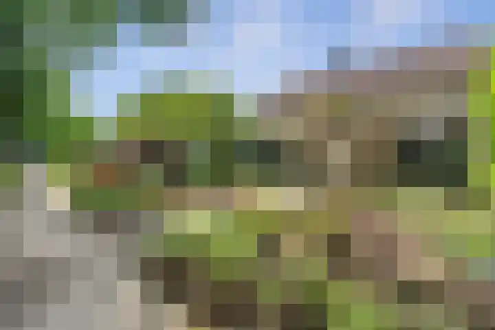 Hoeferlaan 19 Sittard thumbnail 7