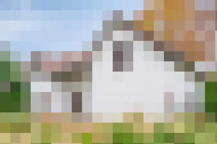 Hoeferlaan 25 Sittard thumbnail 34
