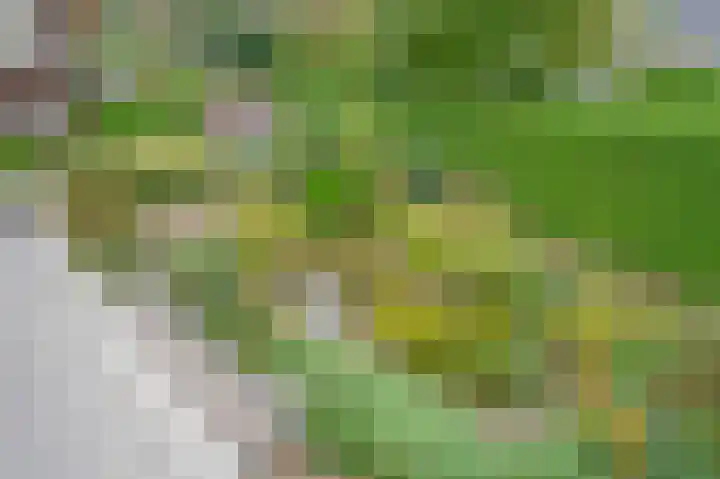 Hoeferlaan 25 Sittard thumbnail 36