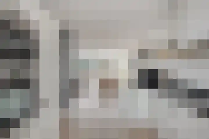 Hoefijzer 1 Ens thumbnail 10