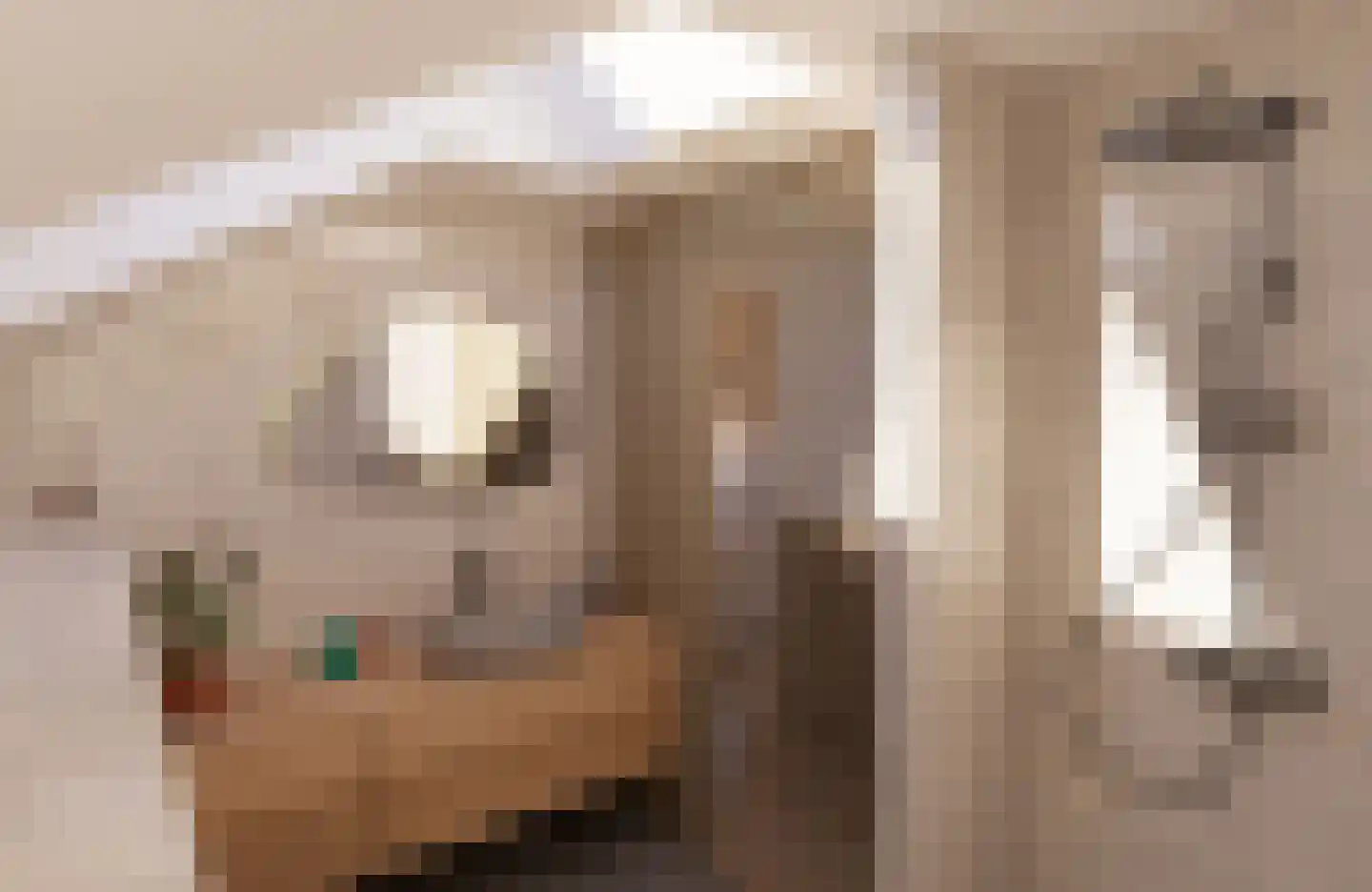 Hoefijzer 1 Ens thumbnail 18