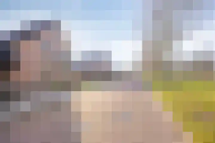 Hoefijzer 1 Ens thumbnail 6
