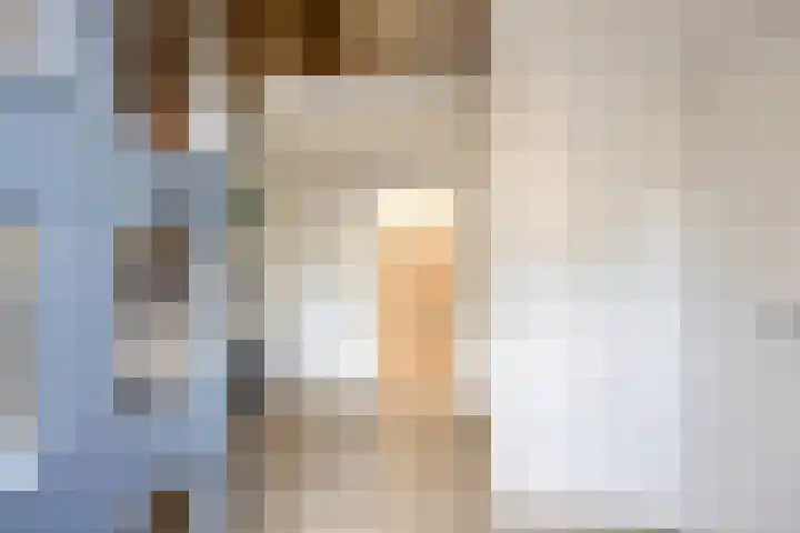 Hoefijzer 1 Ens thumbnail 7